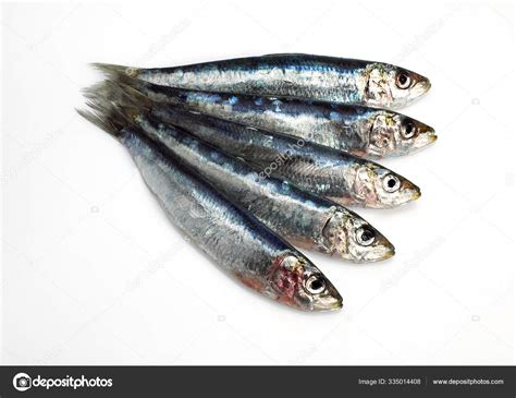 37,900+ Sardine Stock Photos, Pictures & Royalty .